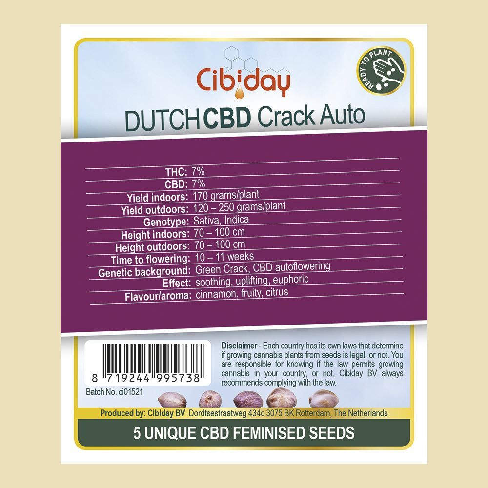 Dutch CBD Crack Auto