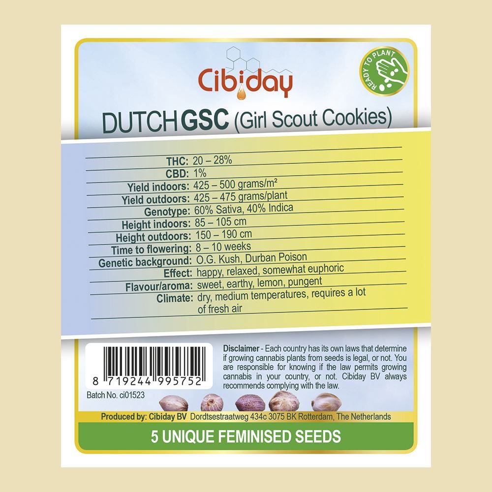 Dutch Girl Scout Cookies