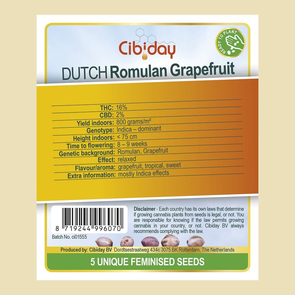 Dutch Grapefruit Romulan