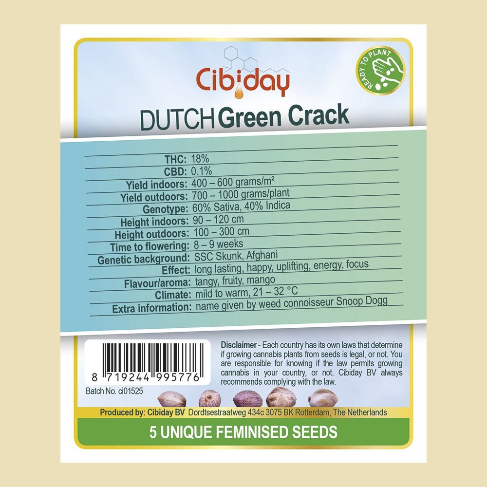 Dutch Green Crack