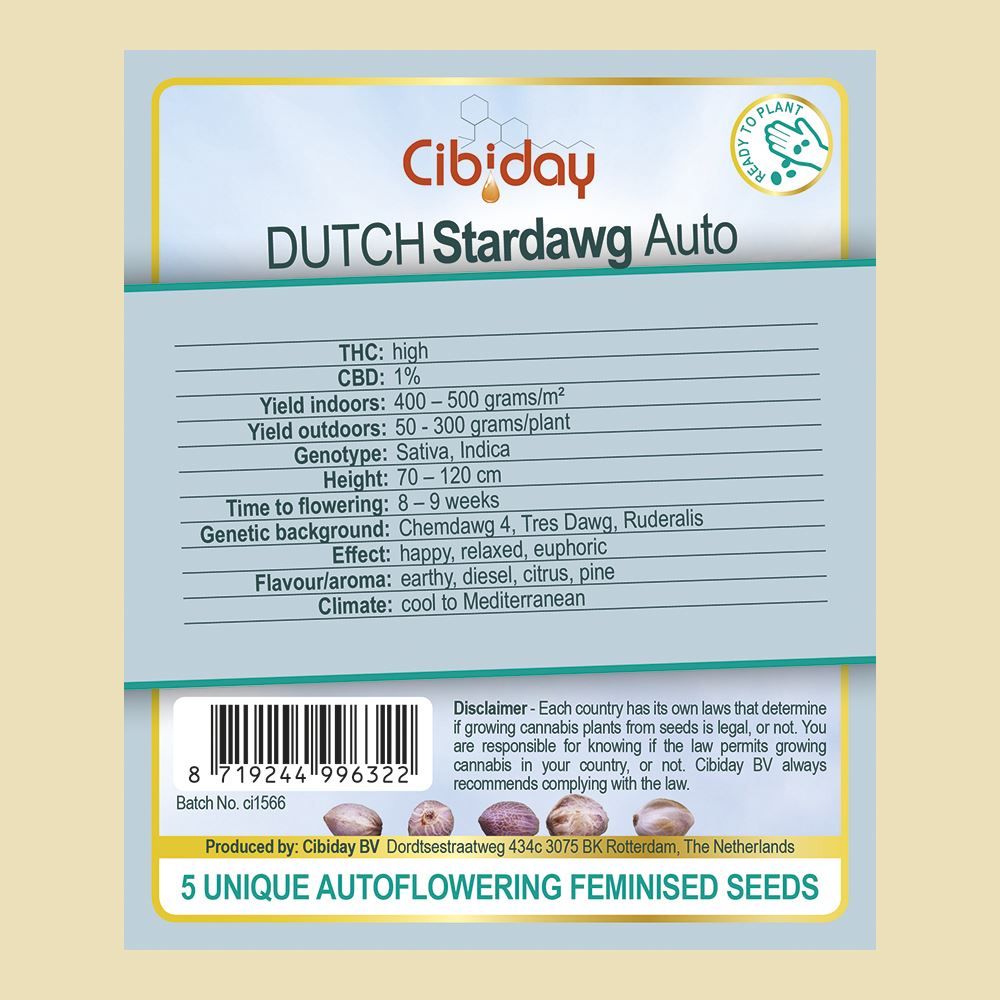 Dutch Stardawg Auto
