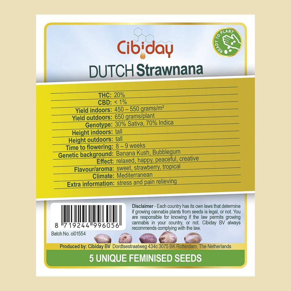 Dutch Strawnana