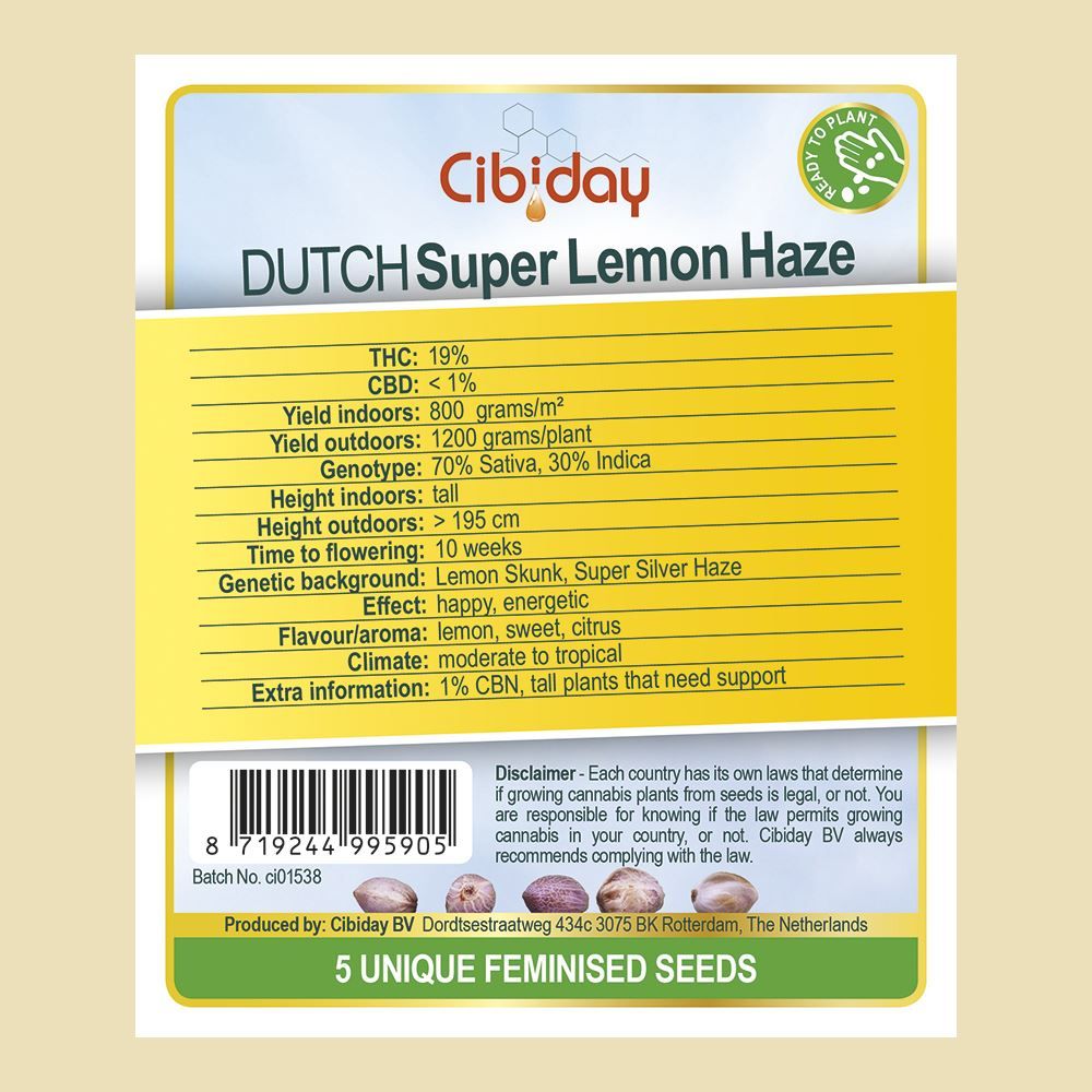 Dutch Super Lemon Haze