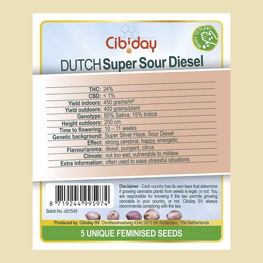 Dutch Super Sour Diesel