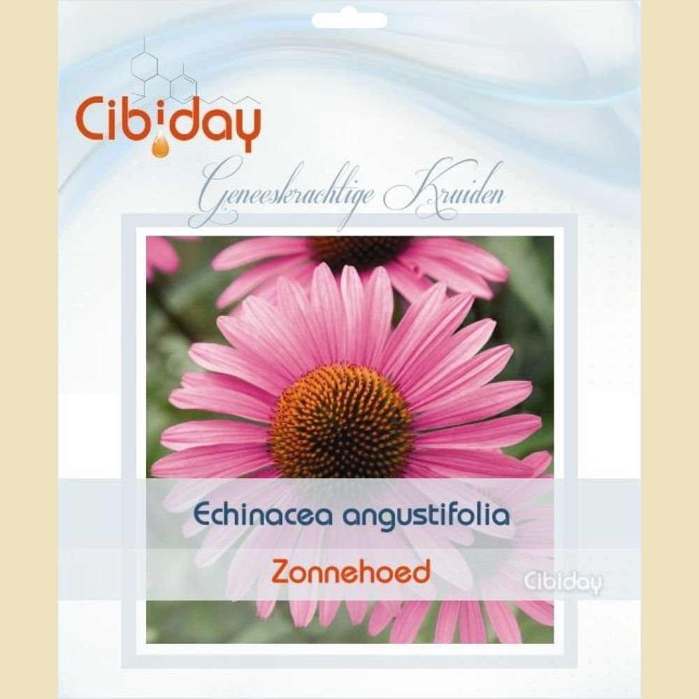 Echinacea Angustifolia Zaden