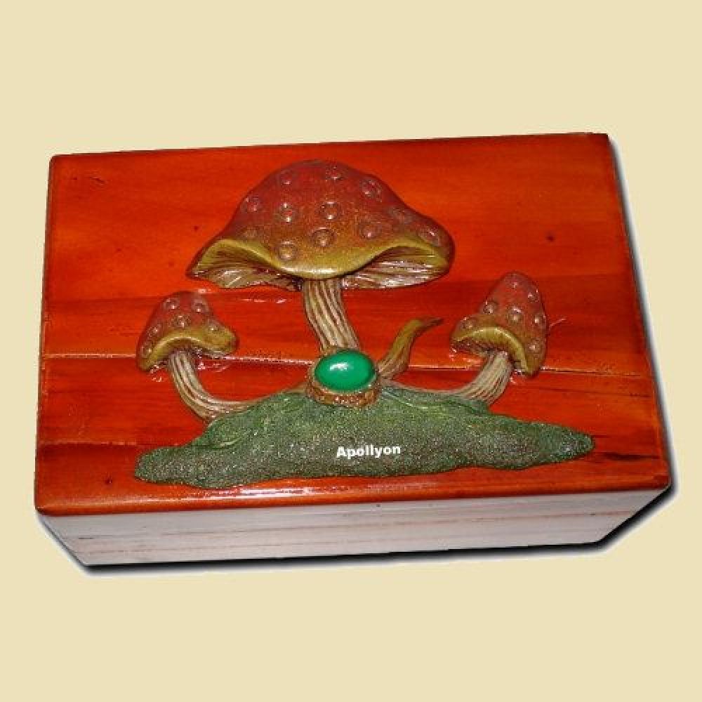 Houten Stash Box Magische Paddo