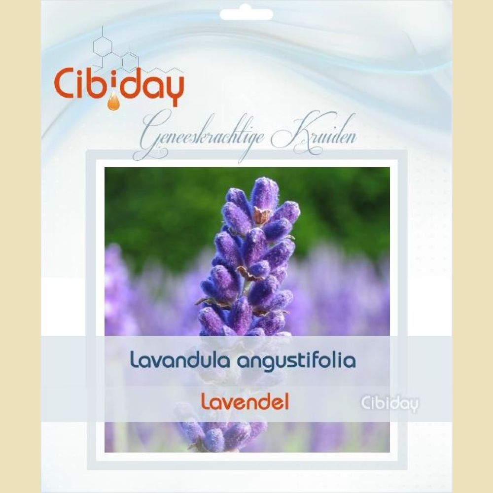 Lavendel Zaden