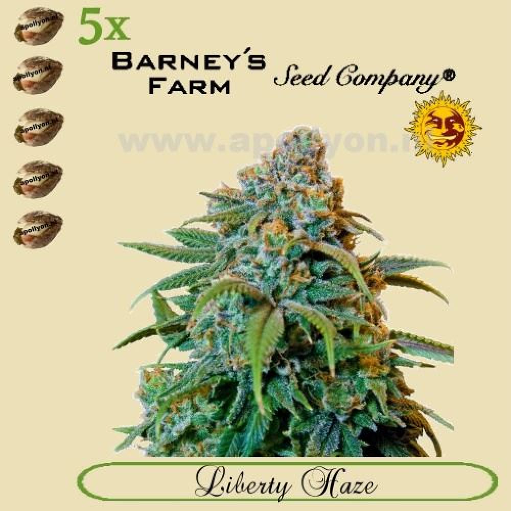 Liberty Haze 5x