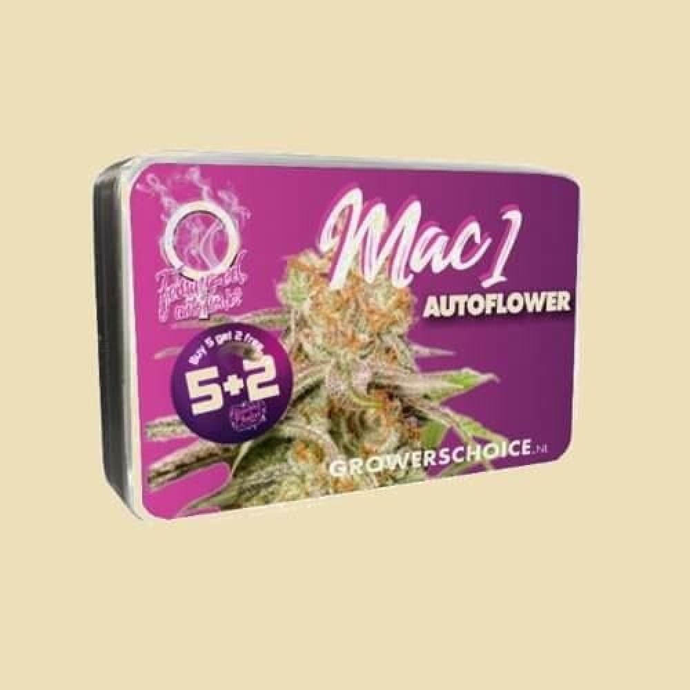 Mac1 (Autoflower)