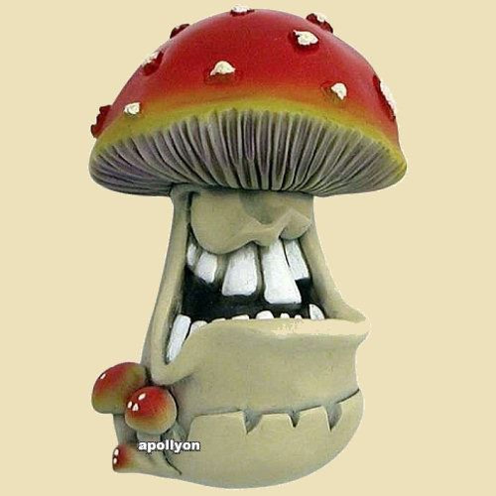 Magneet Funguy Amanita Oogloos