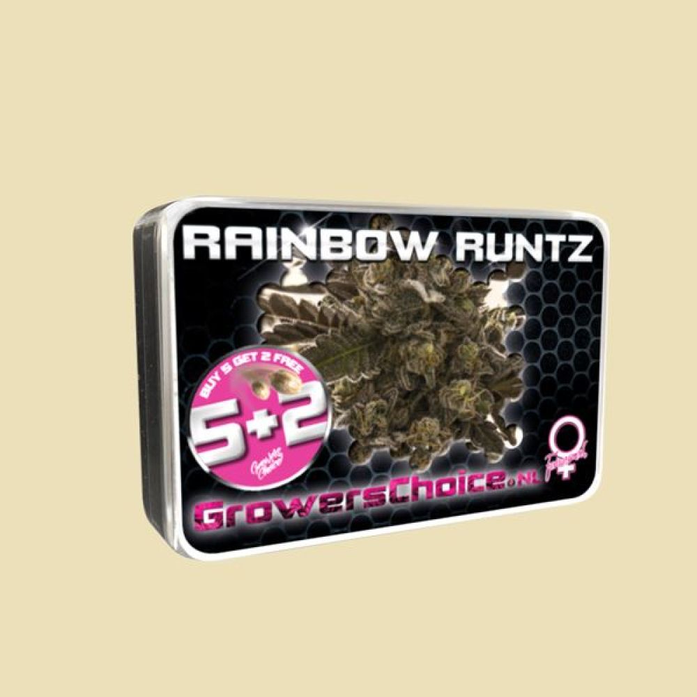 Rainbow Runtz