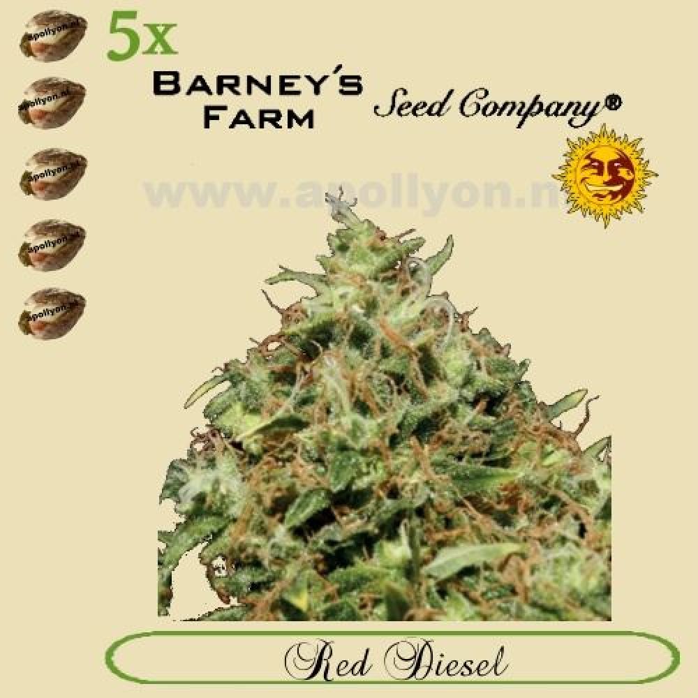 Red Diesel 5x