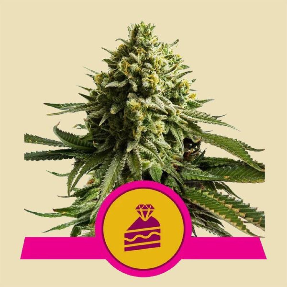 RQS Wedding Cake