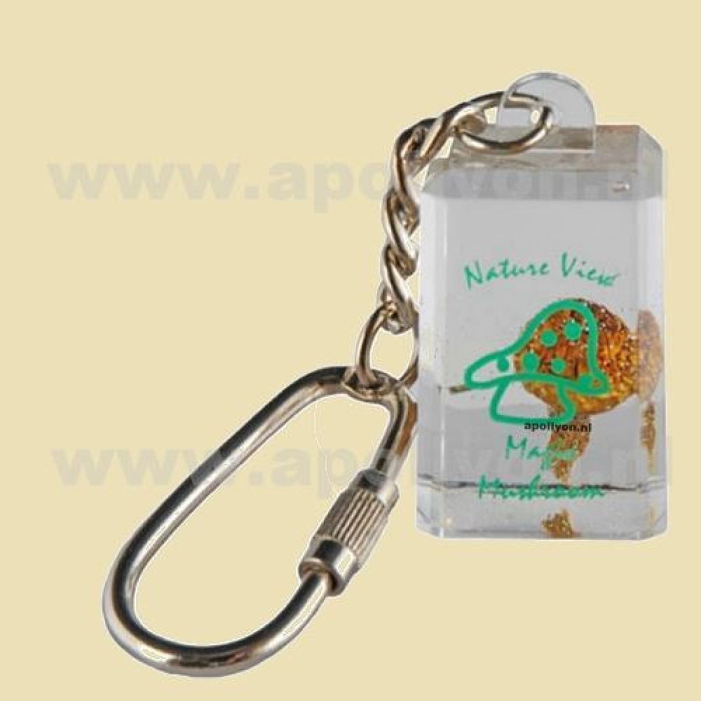 Sleutelhanger Acryl Paddo