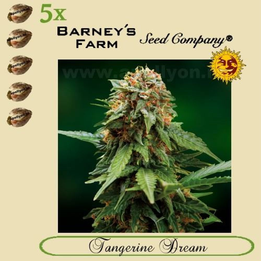 Tangerine Dream 5x