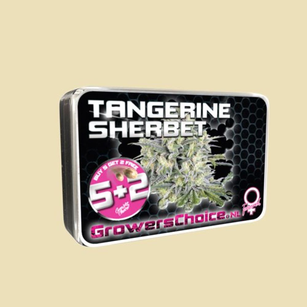 Tangerine Sherbet