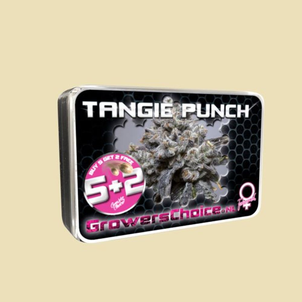 Tangie Punch