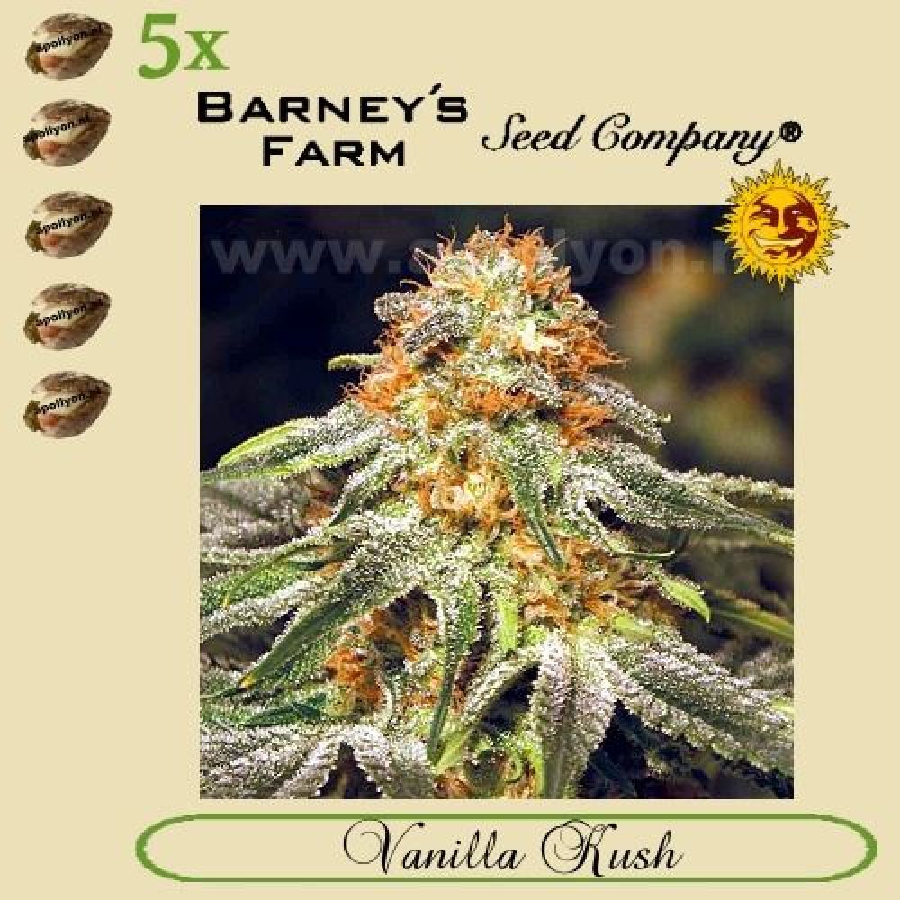 Vanilla Kush 5x