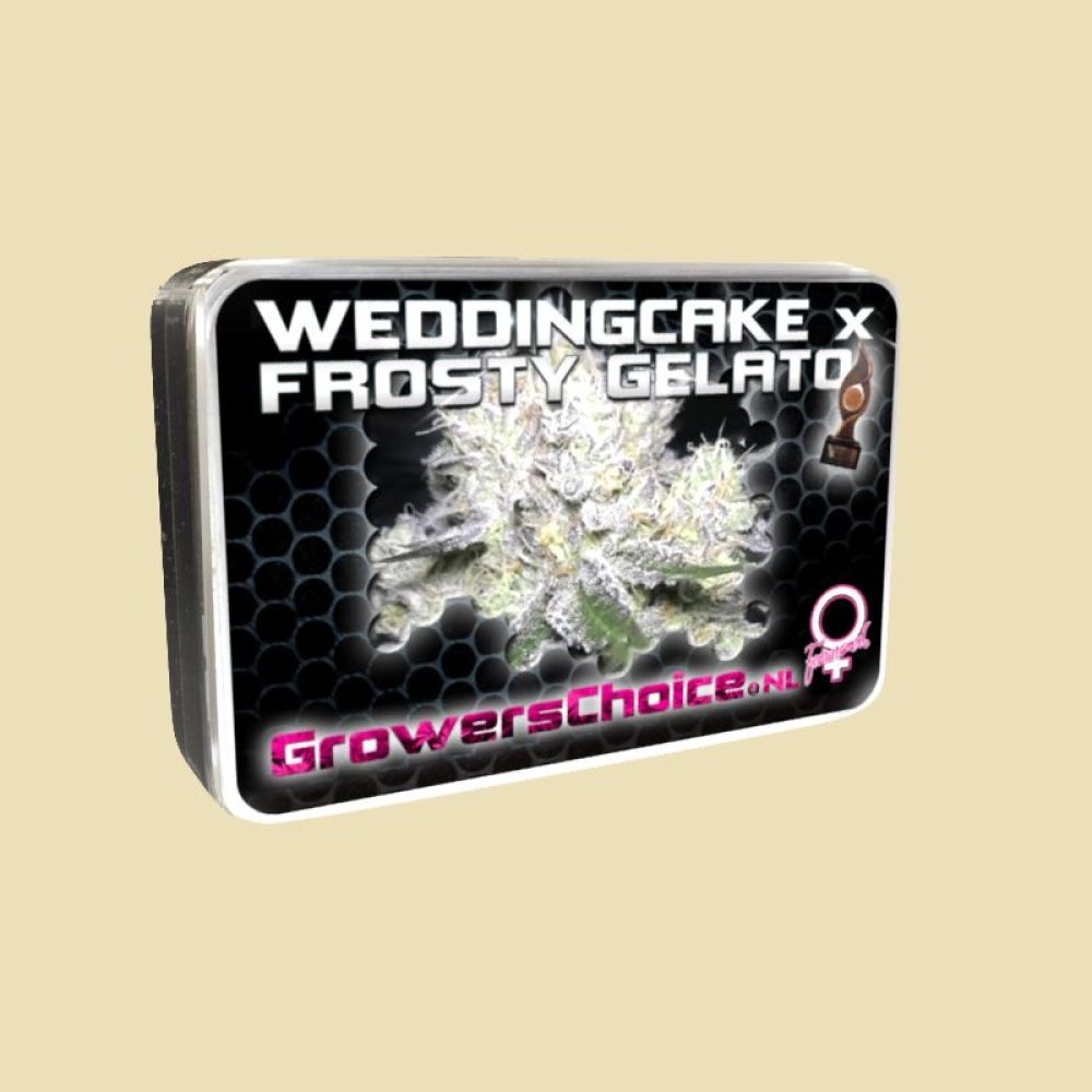 Weddingcake & Frosty Gelato