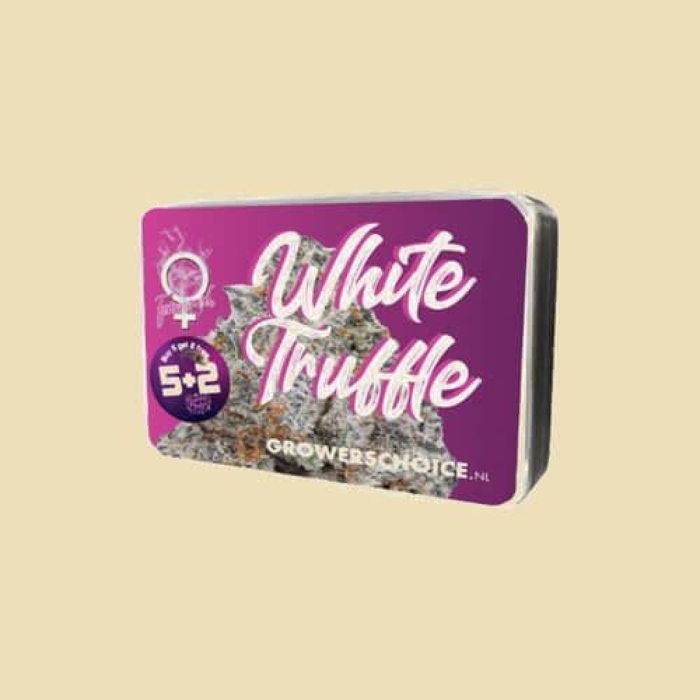 White Truffle - Fem - Growers Choice