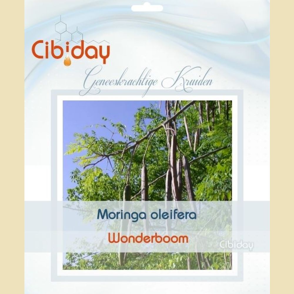 Wonderboom Zaden