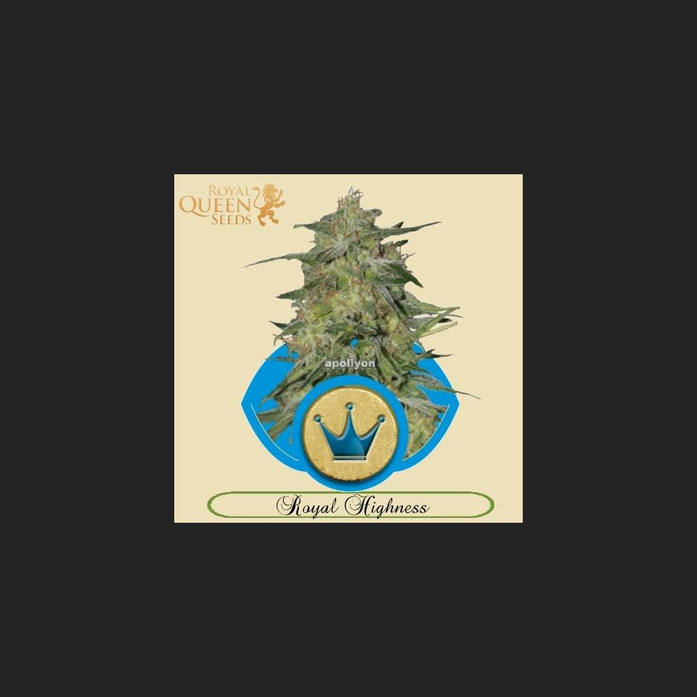 Royal Highness RQS