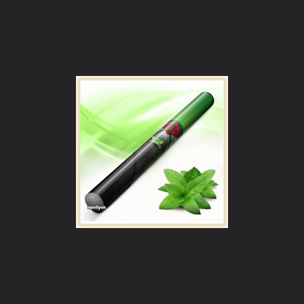 Flavor Vapes Shisha Pen Menthol, disposable electronic cigarette